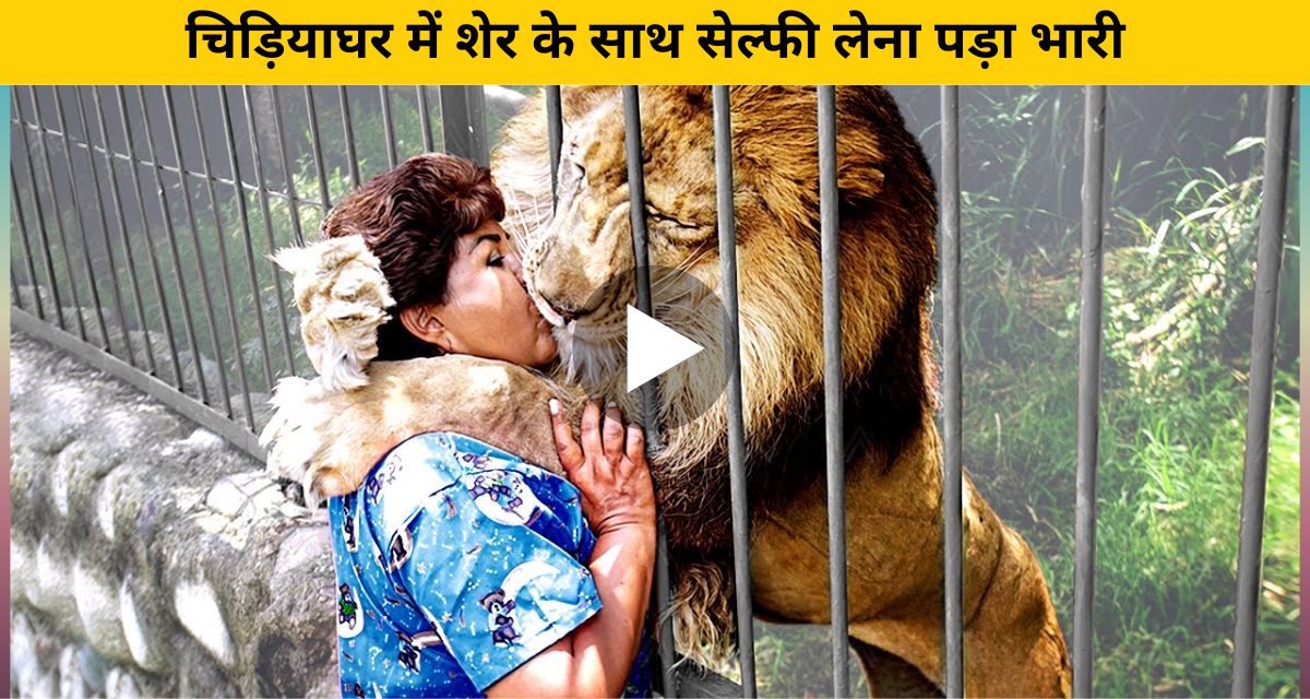 The ferocious lion jumped on seeing the woman